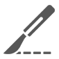 skin biopsy